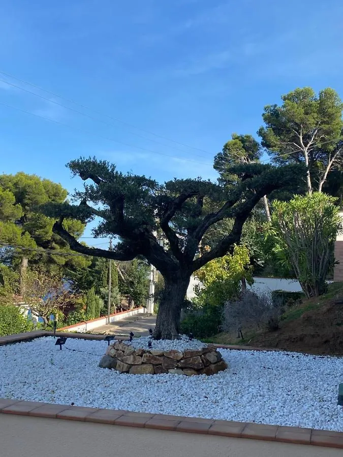 Casa Tanio 150M Walking From The Village And Town Of Tamariu 0*,